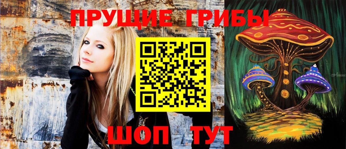 Строитель  где продают наркотики  Вход с VPN  Галлюциногенные грибы мухоморы 