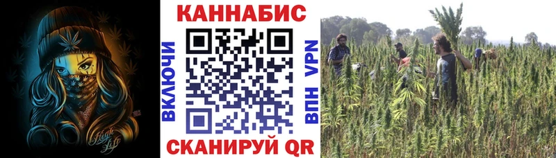 Каннабис White Widow  Строитель 